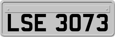 LSE3073