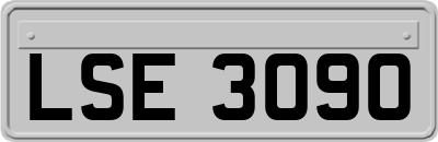 LSE3090