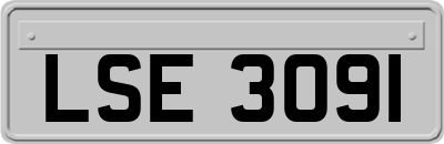 LSE3091