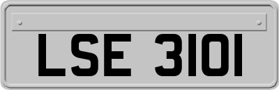 LSE3101