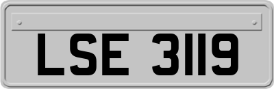 LSE3119