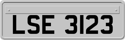 LSE3123