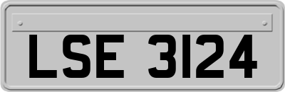 LSE3124