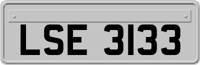 LSE3133