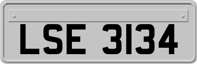 LSE3134