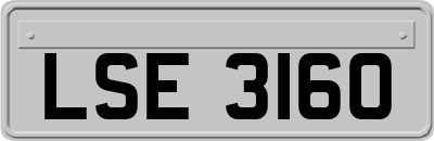 LSE3160