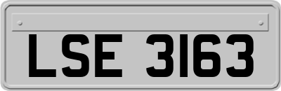 LSE3163
