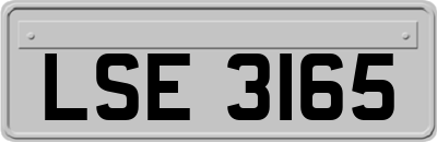 LSE3165