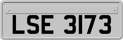 LSE3173