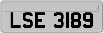 LSE3189