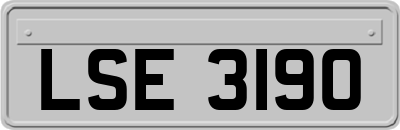 LSE3190