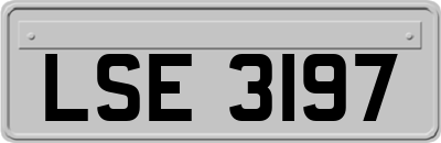 LSE3197