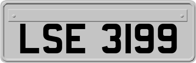LSE3199