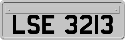 LSE3213