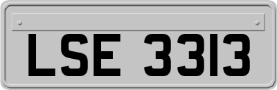 LSE3313