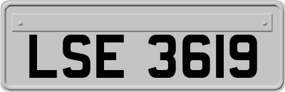 LSE3619