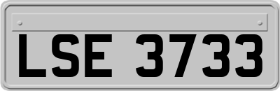 LSE3733