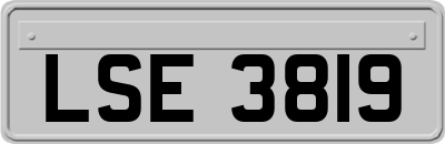 LSE3819