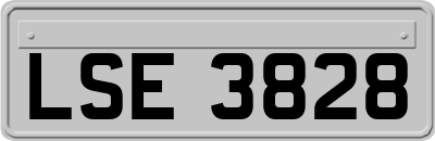LSE3828