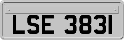 LSE3831