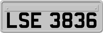 LSE3836