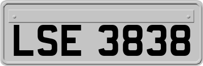 LSE3838