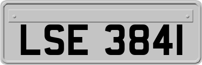 LSE3841