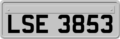 LSE3853