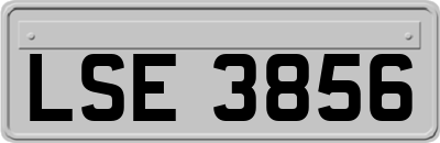 LSE3856