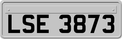 LSE3873