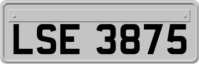 LSE3875