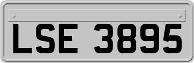 LSE3895