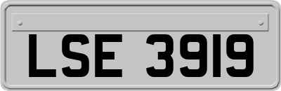 LSE3919