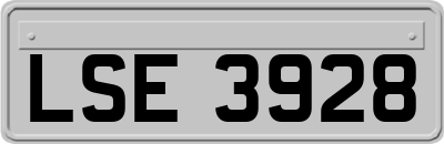 LSE3928