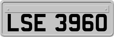 LSE3960