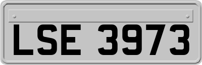 LSE3973