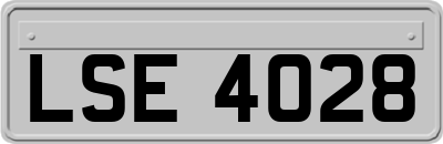 LSE4028