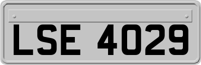 LSE4029