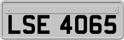 LSE4065