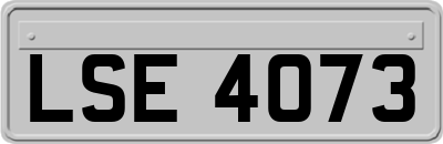 LSE4073