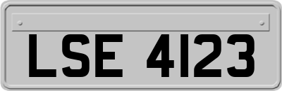 LSE4123