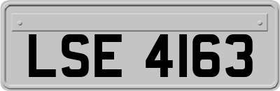 LSE4163