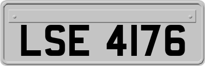 LSE4176