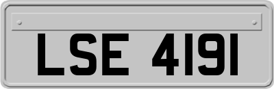 LSE4191