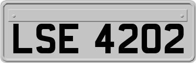 LSE4202