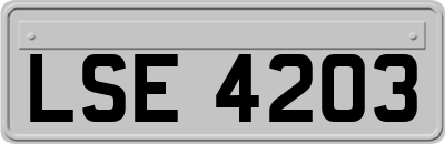 LSE4203