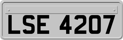 LSE4207