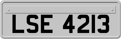 LSE4213
