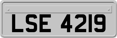 LSE4219