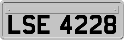 LSE4228